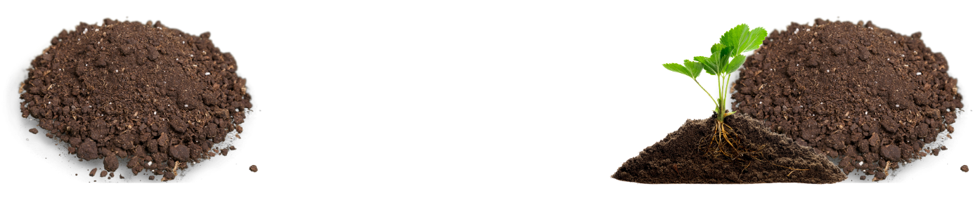 Untitled design (4)